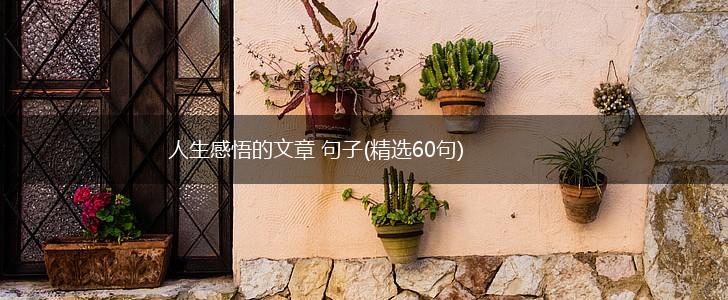 人生感悟的文章 句子(精选60句),第1张