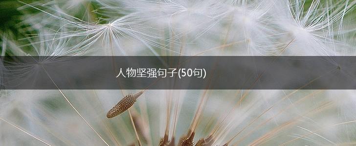 人物坚强句子(50句),第1张