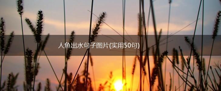 人鱼出水句子图片(实用50句),第1张 人鱼出水句子图片(实用50句),第1张