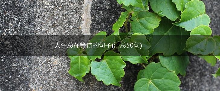 人生总在等待的句子(汇总50句),第1张