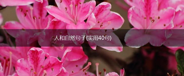 人和自然句子(实用40句),第1张