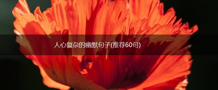 人心复杂的幽默句子(推荐60句),第1张