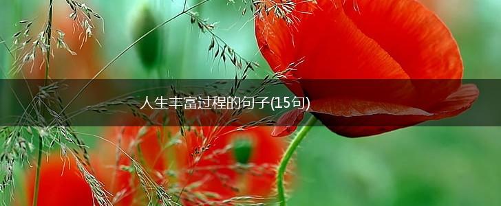 人生丰富过程的句子(15句),第1张