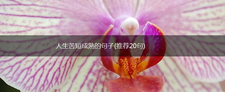 人生苦短成熟的句子(推荐20句),第1张
