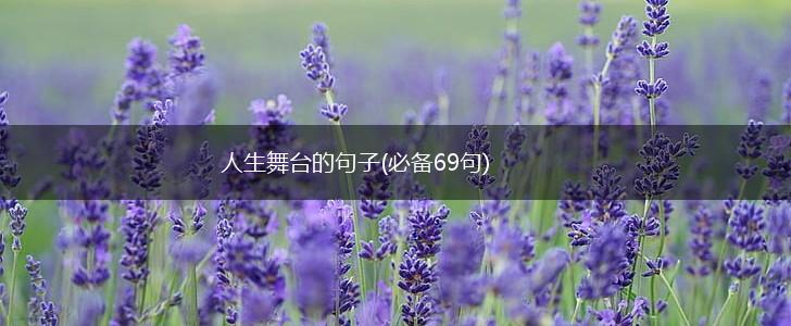 人生舞台的句子(必备69句),第1张