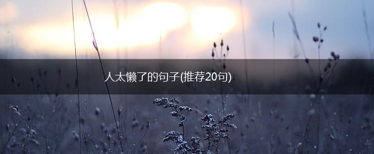 人太懒了的句子(推荐20句),第1张