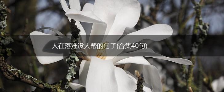 人在落难没人帮的句子(合集40句),第1张