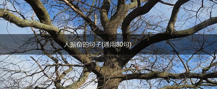 人振奋的句子(通用80句),第1张
