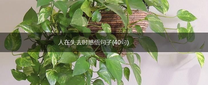 人在失去时感悟句子(40句),第1张