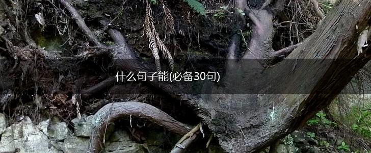 什么句子能(必备30句),第1张