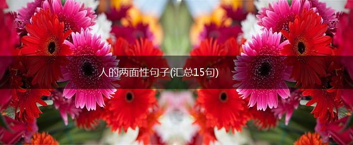 人的两面性句子(汇总15句),第1张