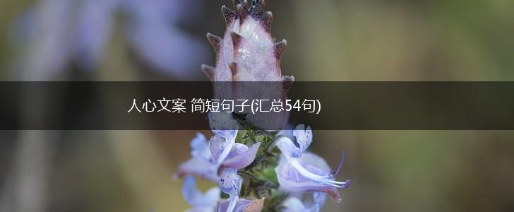 人心文案 简短句子(汇总54句),第1张