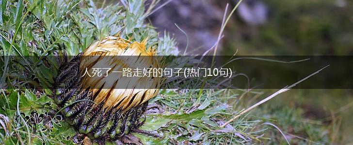 人死了一路走好的句子(热门10句),第1张