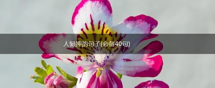 人懒押韵句子(必备40句),第1张
