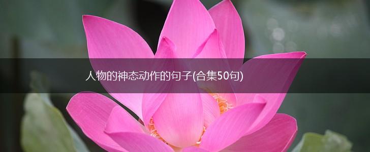 人物的神态动作的句子(合集50句),第1张