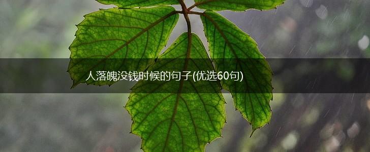 人落魄没钱时候的句子(优选60句),第1张