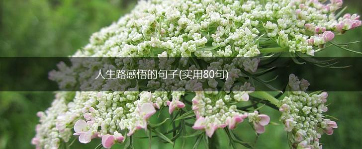 人生路感悟的句子(实用80句),第1张 人生路感悟的句子(实用80句),第1张