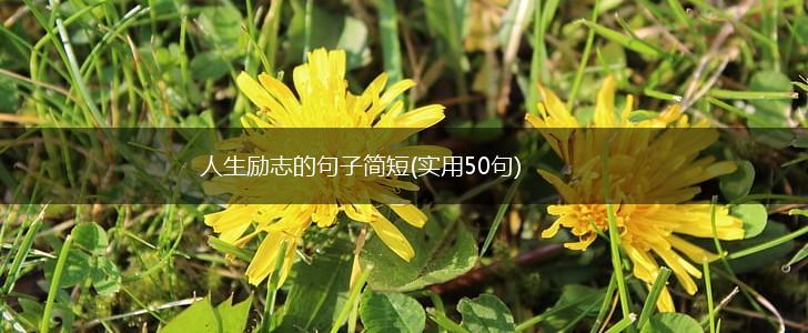 人生励志的句子简短(实用50句),第1张