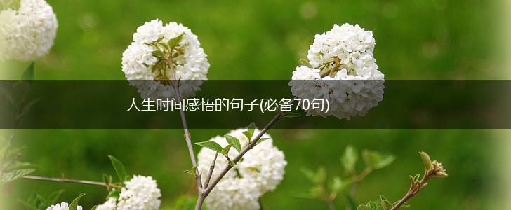 人生时间感悟的句子(必备70句),第1张