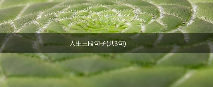 人生三段句子(共3句),第1张