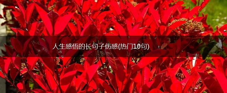 人生感悟的长句子伤感(热门10句),第1张