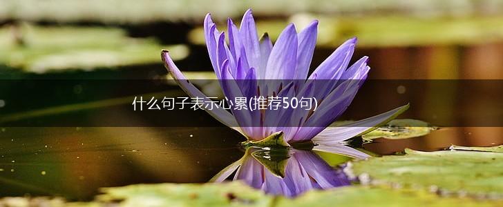什么句子表示心累(推荐50句),第1张