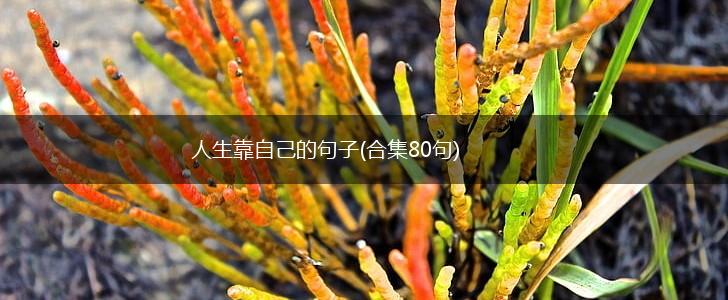 人生靠自己的句子(合集80句),第1张