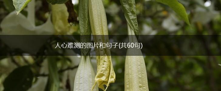 人心难测的图片和句子(共60句),第1张