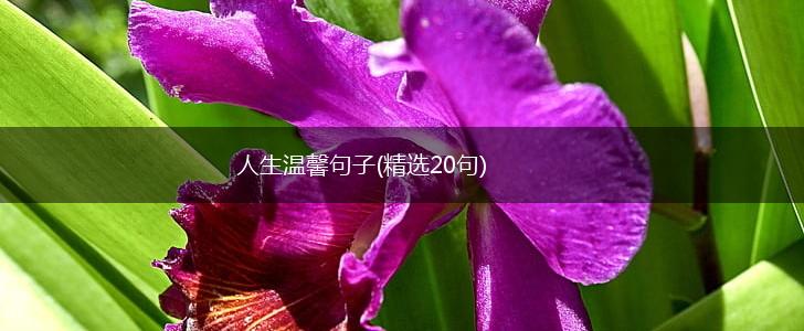 人生温馨句子(精选20句),第1张