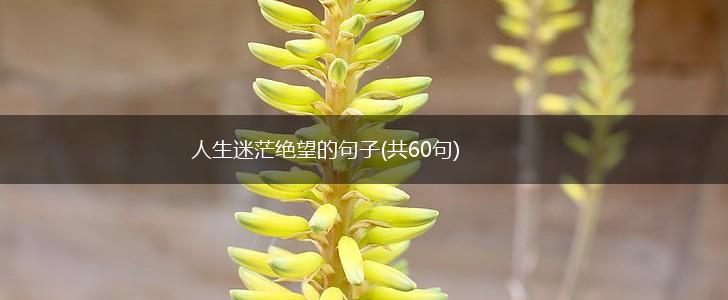 人生迷茫绝望的句子(共60句),第1张