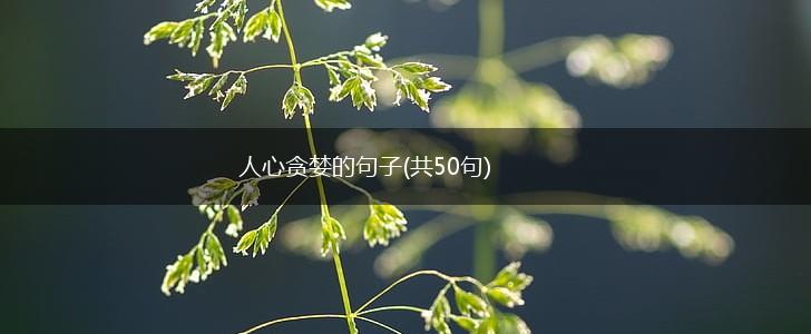 人心贪婪的句子(共50句),第1张