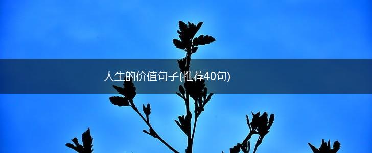 人生的价值句子(推荐40句),第1张