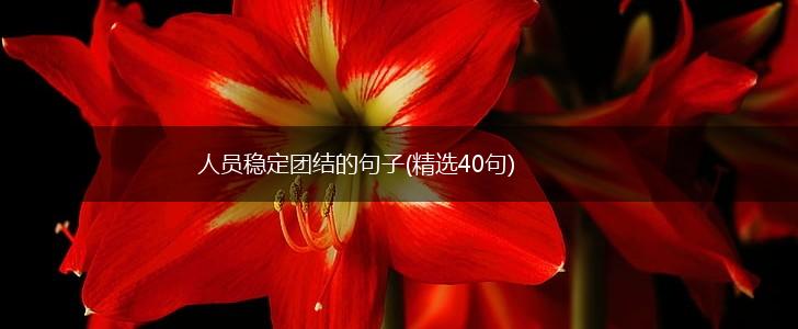 人员稳定团结的句子(精选40句),第1张