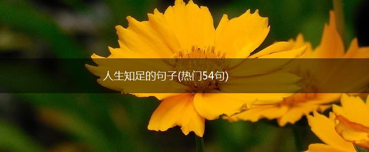 人生知足的句子(热门54句),第1张