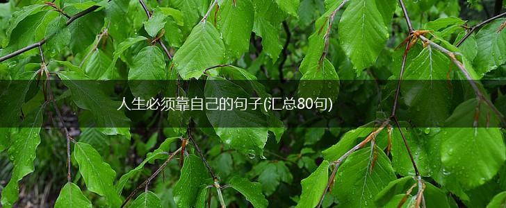 人生必须靠自己的句子(汇总80句),第1张