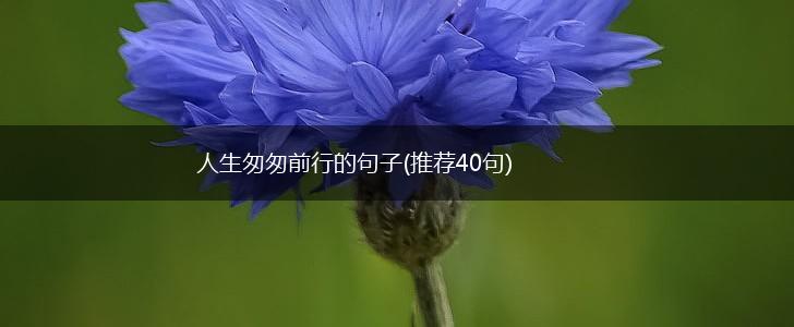 人生匆匆前行的句子(推荐40句),第1张