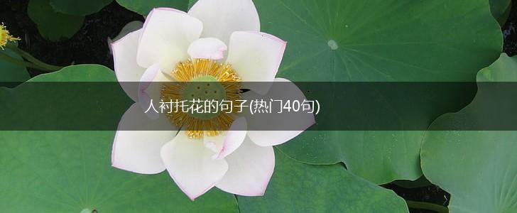 人衬托花的句子(热门40句),第1张