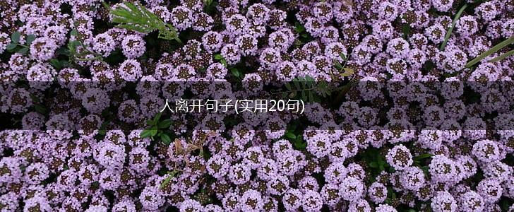 人离开句子(实用20句),第1张