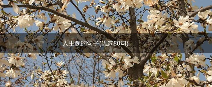 人生观的句子(优选80句),第1张