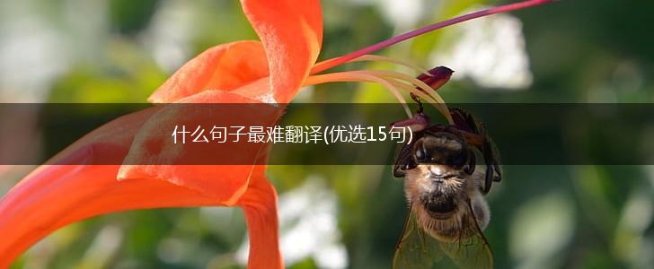 什么句子最难翻译(优选15句),第1张