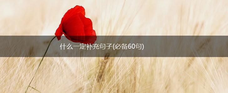 什么一定补充句子(必备60句),第1张