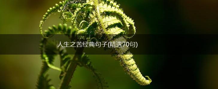 人生之苦经典句子(精选70句),第1张