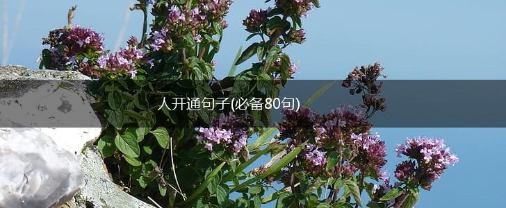人开通句子(必备80句),第1张
