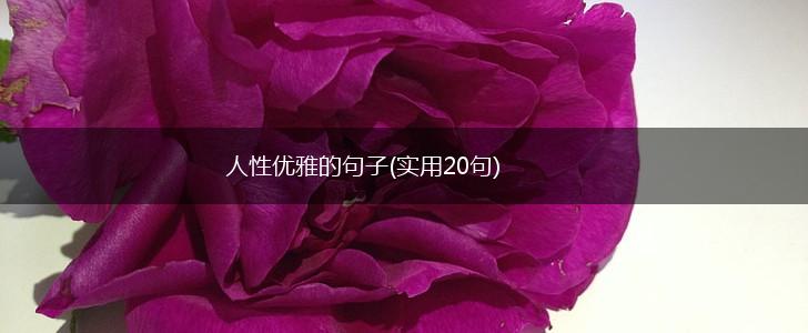 人性优雅的句子(实用20句),第1张