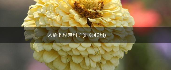 人渣的经典句子(汇总40句),第1张