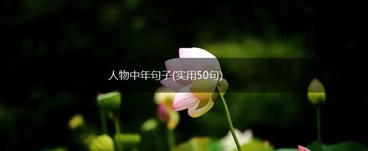 人物中年句子(实用50句),第1张