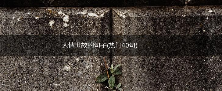 人情世故的句子(热门40句),第1张