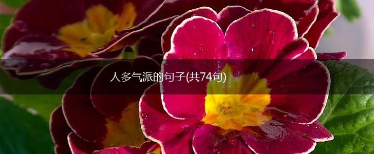 人多气派的句子(共74句),第1张