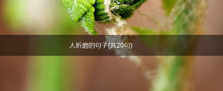 人折磨的句子(共20句),第1张