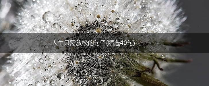 人生只需放松的句子(精选40句),第1张